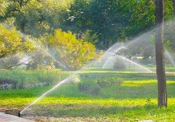What are sprinkler irrigation systems?